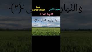 Surah Al Lail سورة الليل #youtubeshorts #viral #viralvideo #shorts #shortsvideo