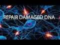 432 hz | Complete Body Regeneration | Heal and Increase Vital Energy | Repair Damaged DNA