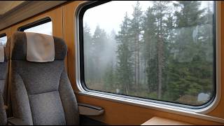 10 Hours Train Window Seat in a Foggy Forest | Relaxing Train Sounds