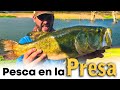 Pescamos LOBINA PARA ZARANDEAR 🐠 en la presa