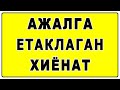 Ажалга етаклаган хиёнат | Ajalga yetaklagan xiyonat