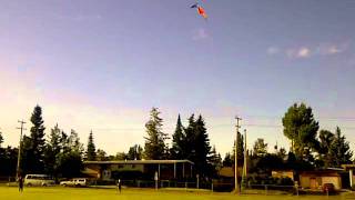 kim stunt kite