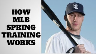 How MLB Spring Training Works