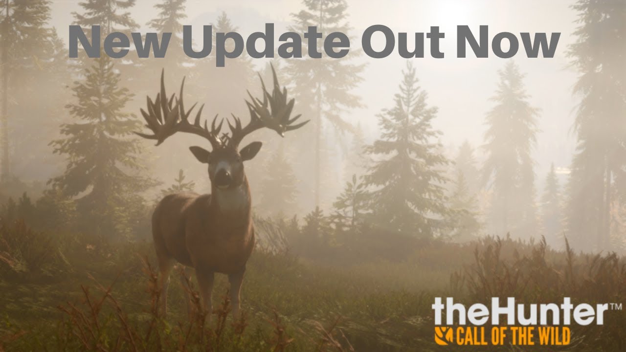 theHunter COTW Checking Out The New Update [SERIES X] YouTube