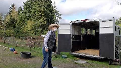 Trailer loading with horse clicker training day 2 part 2 load up and lock inside