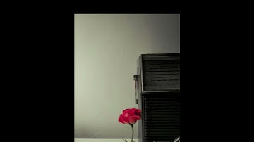 سورة الأنعام آية 29-30 الشيخ محمد أيوب