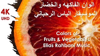 Elias Rahbani Music Colors  الموسيقار الياس الرحباني الوان