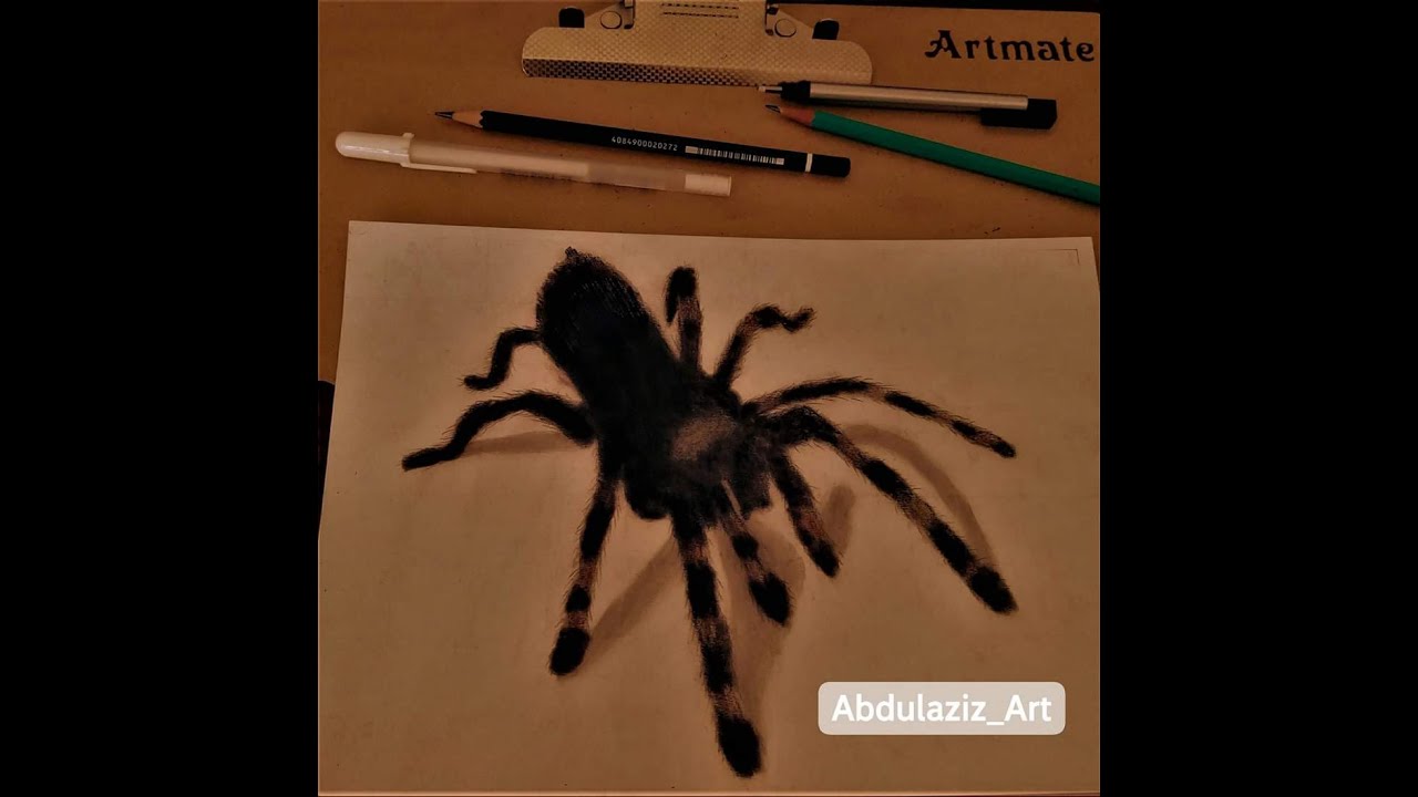 Learn How To Draw A Realistic 3D Spider Step By Step YouTube