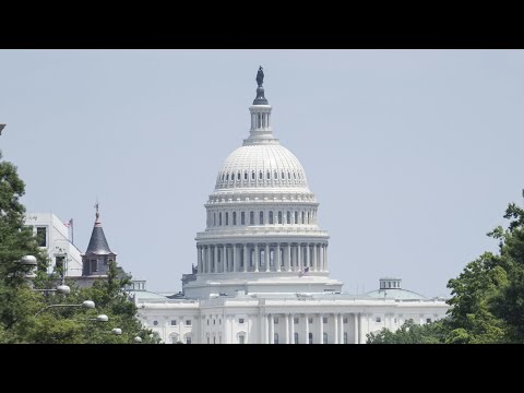 Watch The Senate Floor Live Youtube