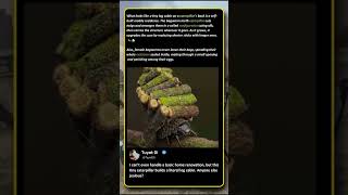 169 Why This Caterpillar Builds A Tiny LOG CABIN! 🐛 #Nature #Wildlife #AmazingAnimals