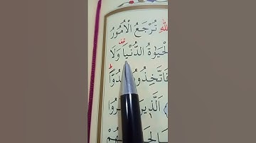 سورة فاطر الأية 4 إلى 7 القارئ سعد الغامدي