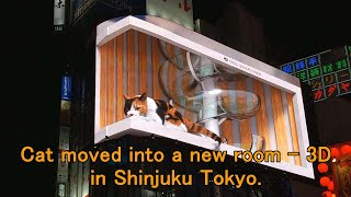 (No cut) The cat moved into a new room - 3D digital billboard in Shinjuku Tokyo.