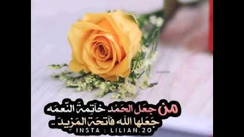 القارئ نواف السعدي