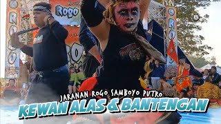 Download Lagu MBEROT ❗️Kewan Alas \u0026 Bantengan ROGO SAMBOYO PUTRO Live Lap Sambirobyong Kayen Kidul MP3