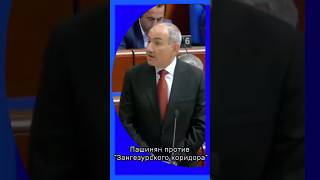Пашинян в ПАСЕ резко осудил использование термина «Зангезурский коридор»