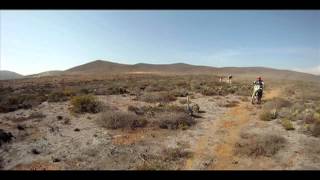 The Baja Beach Bash 4 Video