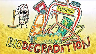 How Super Bacteria Could Eat Away the Plastic Pollution Crisis! 🦠♻️