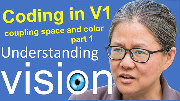 Understanding vision book:  Chap 3, efficient coding 25.1, coupling space and color in V1, part 1