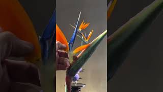 Zi Rui He Wang Wishes The Motherland Prosperity And Strength Expedition Taught Flower