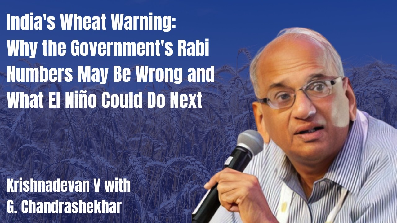 India's Wheat Warning: Why the Government's Rabi Numbers May Be Wrong ...