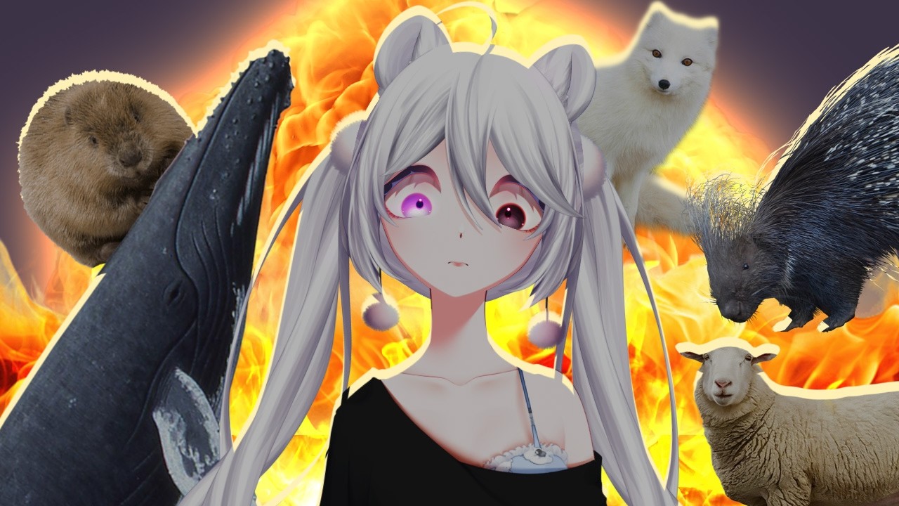 I am the Alpha Beaver | Casual Geographic Reaction