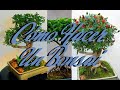 Cómo Hacer un Bonsai bien explicado (Bonchi) | Huerto Urbano Villarreal