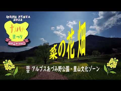 2022 4月 4K　国営アルプスあづみ野公園　【ナノハナまつり】