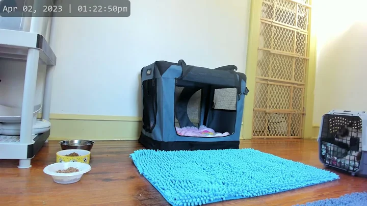 Watch the video about Kitkat Playroom