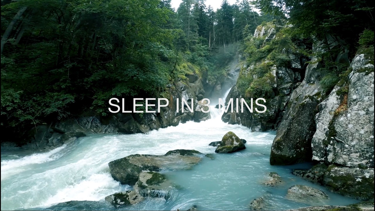 Sleep Instantly In 5 Minutes With Soothing Sounds Of Zen River & Heavy Thunder in a Rain Forest