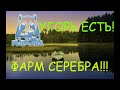 Русская Рыбалка 4 - Старый Острог - Угорь - Фарм серебра