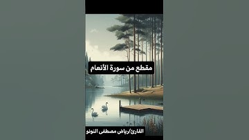 مقطع من سورة الأنعام بصوت القارئ/رياض مصطفى النونو #اكسبلور #تلاوة #لايك #حالات_واتس #راحة_نفسية