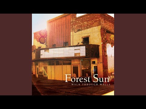 Drops In The Ocean - Forest Sun