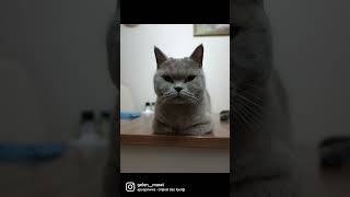 Bunlarda Ortaklarım