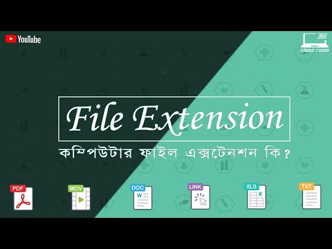 File Extension in Bengali | How to view the file extension of a file | What is a file extension?