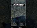 #BlackBear#papublic#publichunt#thehuntingpublic#nature#archeryhunter#wildlife#moultriemobile#huntpa