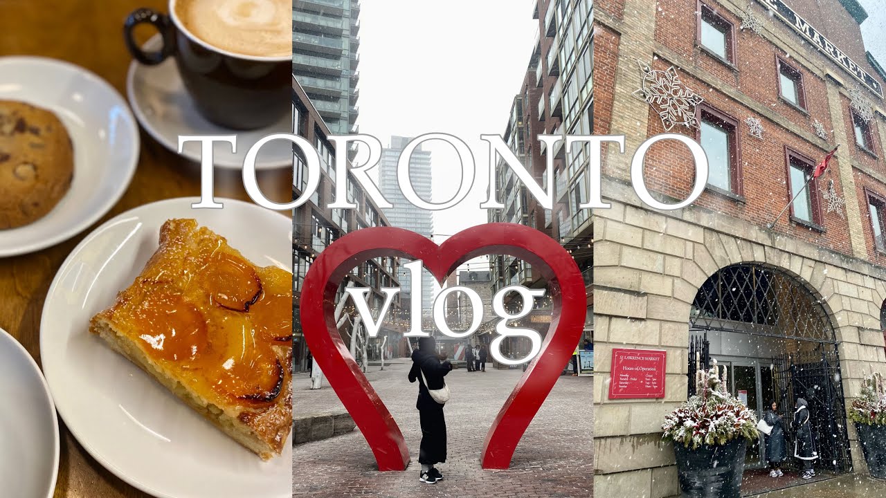 【vlog】真冬のカナダ旅行🇨🇦トロント市内観光,おしゃれエリアで雪の中お散歩🐕