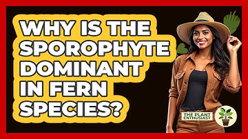 Why Is The Sporophyte Dominant In Fern Species? - The Plant Enthusiast