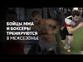 Бойцы ММА и боксеры тренируются в межсезонье | Athletic Training