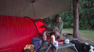 Tent Camping In RAIN  Dog