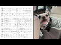 Dog concerto – 5. Scherzo in C
