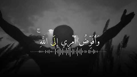 القارئ خالد الجليل سورة غافر  أية ٤٤