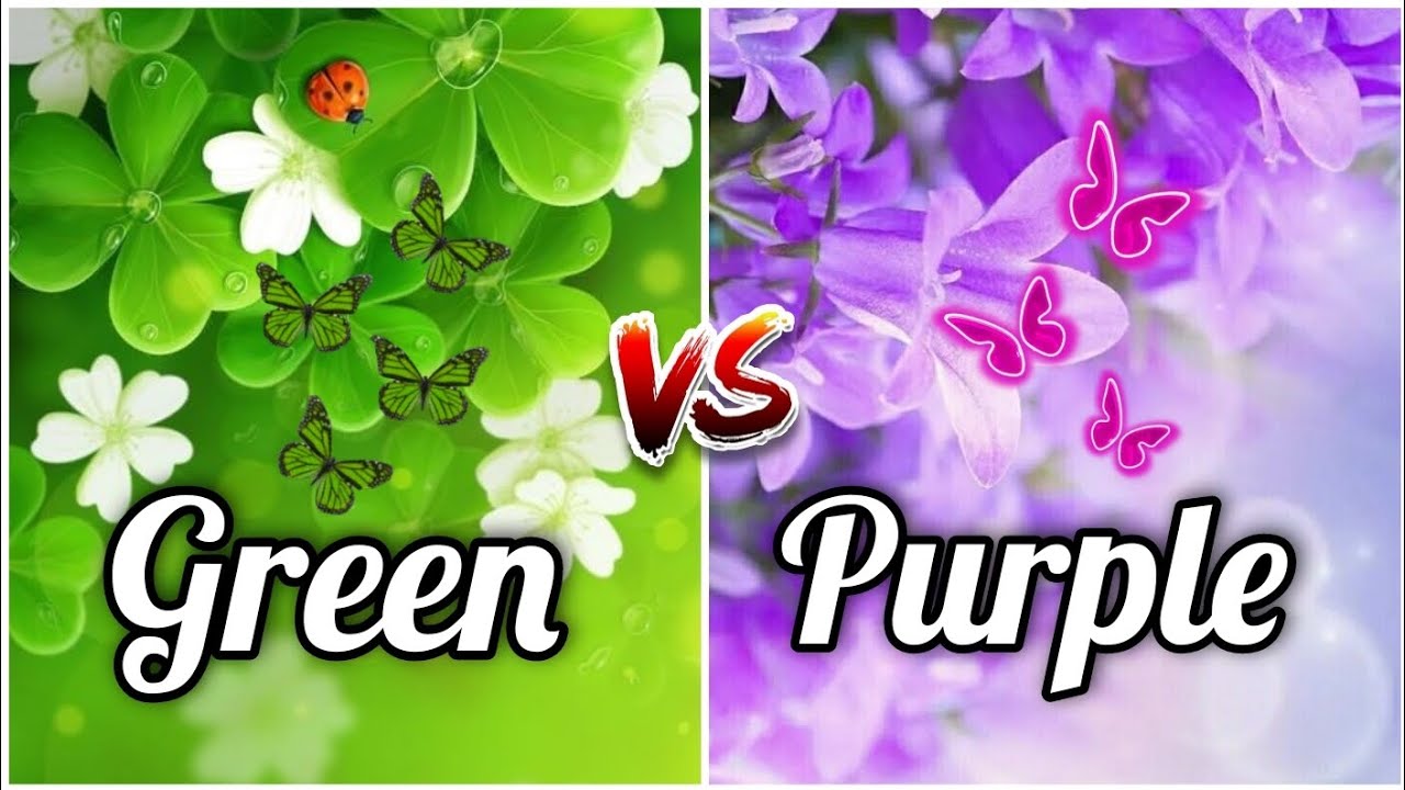 green vs purple YouTube