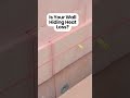 Insulation, Render, or Full Wall System