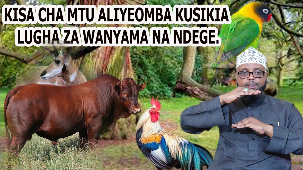 KISA CHA MTU ALIYEOMBA KUSIKIA LUGHA ZA WANYAMA NA NDEGE//SHEIKH OTHMAN MAALIM