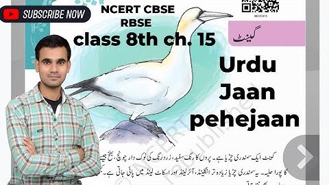 CLASS 8 Chapter 15 GEYANTExplains Jaan Pehchan CBSE NCERT Book