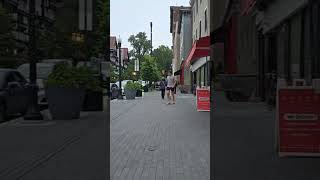 The Streets of Princeton University #travel #livestream #citywalk