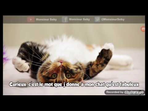 Parodi Mignion Mon Chat Delire Il Se Tape Des Barres Youtube Parodi Mignion Mon Chat Delire Il Se Tape Des Barres Youtube