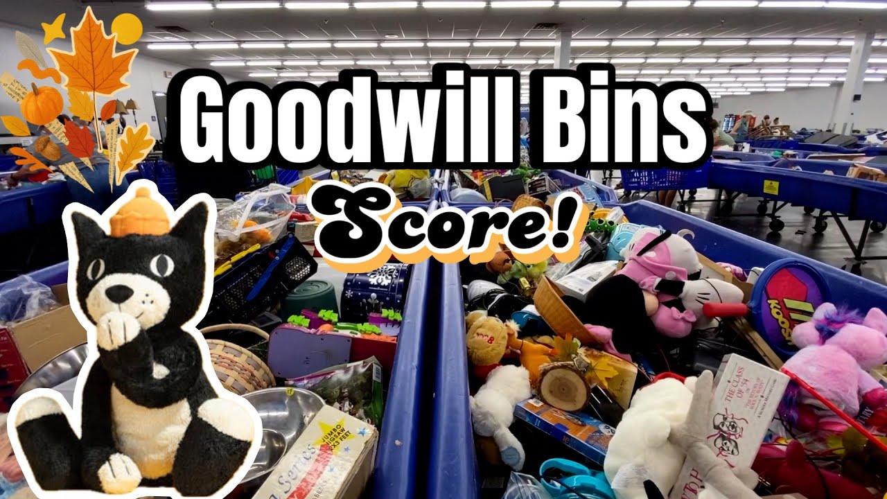 GOODWILL Bins Jellycat Score! • Thrifting Plushies and Finding My Stuffed Animal ISO, Woohoo!