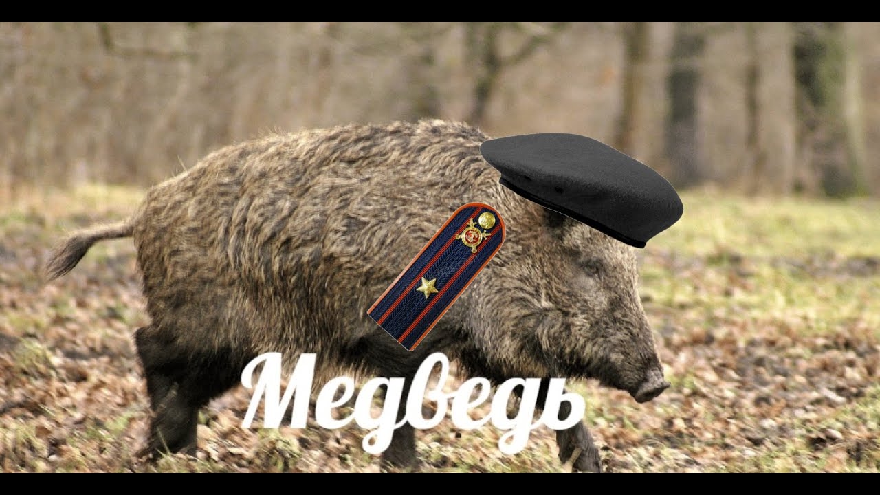 Kobanya Koban
