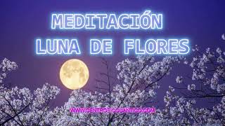 MEDITACION LUNA DE FLORES  'Florecer al Amor interior'